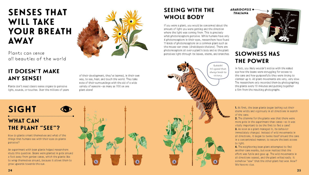 The Language of Plants: How Plants Communicate