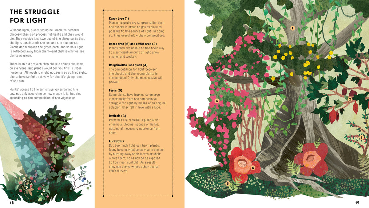 The Language of Plants: How Plants Communicate