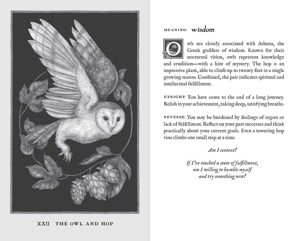 Woodland Wardens by Jessica Roux — alternate product view 7