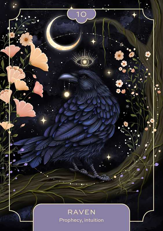 Animal Spirit Oracle by Lea Androic — alternate product view 7
