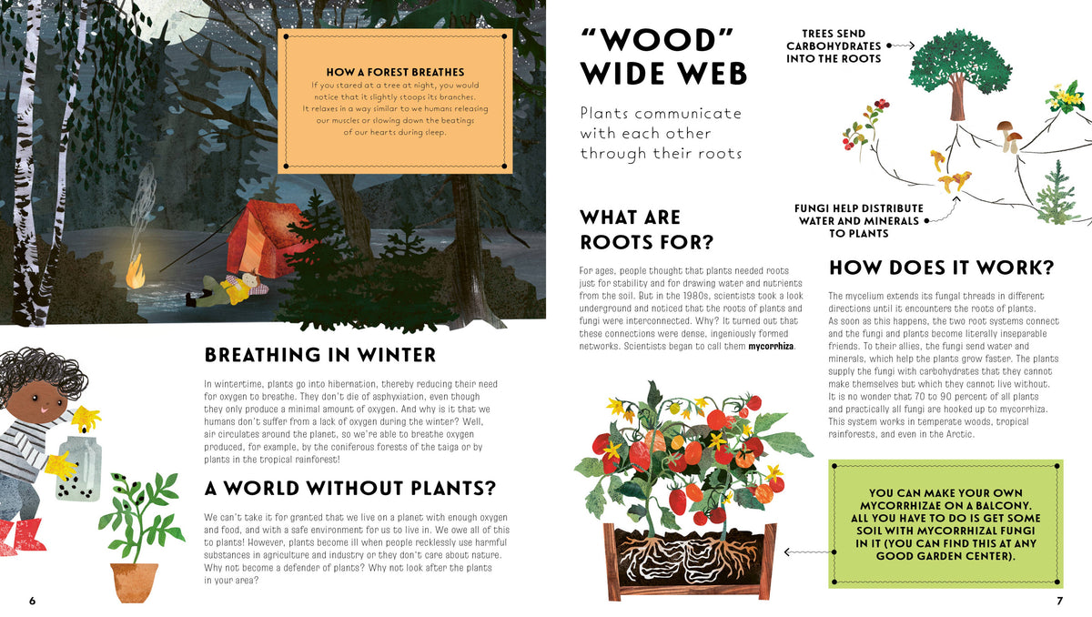 The Language of Plants: How Plants Communicate