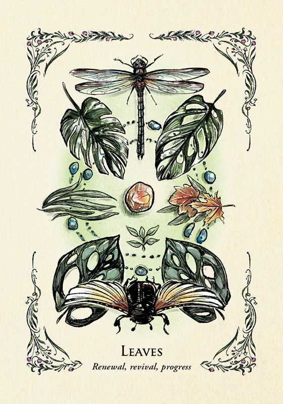Green Witch's Oracle Deck by Arin Murphy-Hiscock — alternate product view 10
