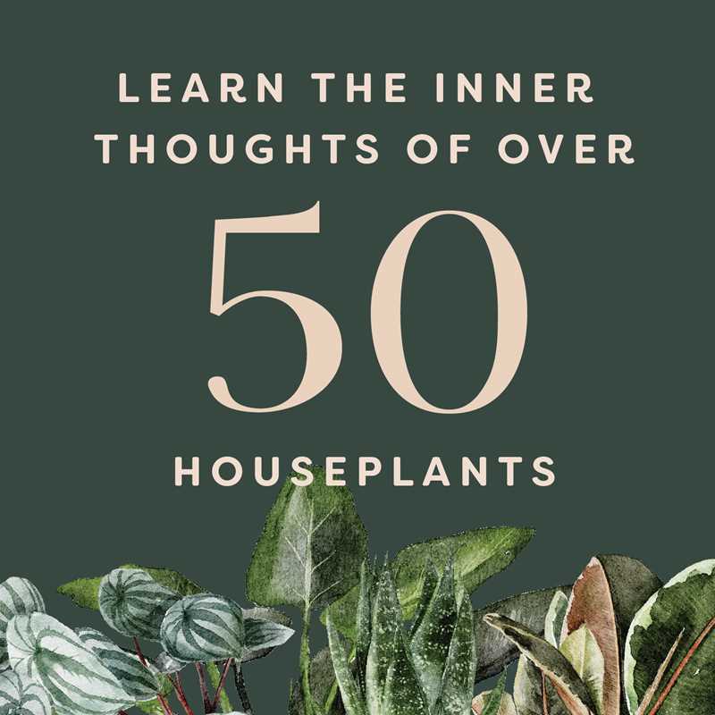 Houseplants and Their Fucked-Up Thoughts by Carlyle Christoff — alternate product view 3