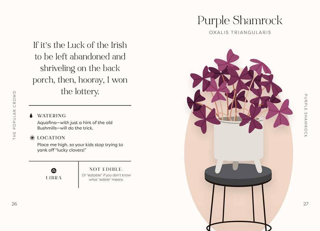 Houseplants and Their Fucked-Up Thoughts by Carlyle Christoff — alternate product view 7