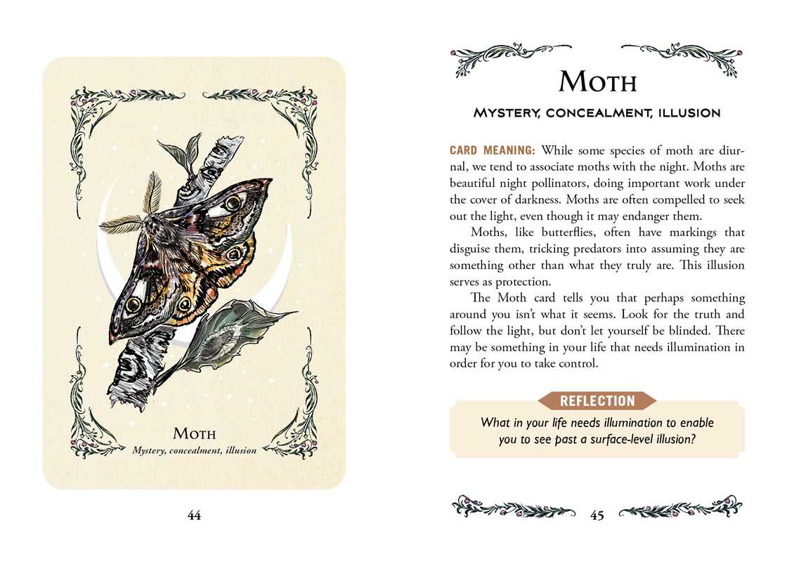 Green Witch's Oracle Deck by Arin Murphy-Hiscock — alternate product view 7