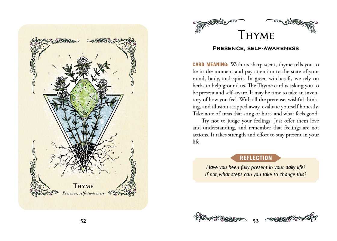 Green Witch's Oracle Deck by Arin Murphy-Hiscock — alternate product view 8