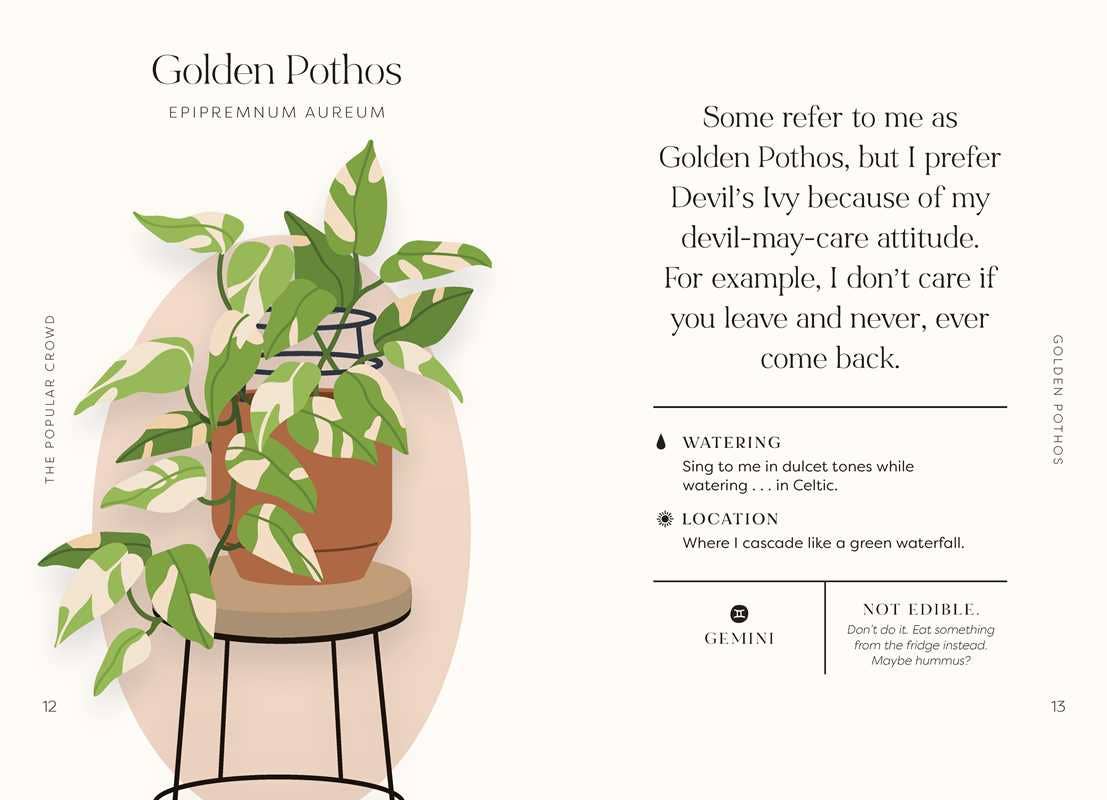 Houseplants and Their Fucked-Up Thoughts by Carlyle Christoff — alternate product view 6