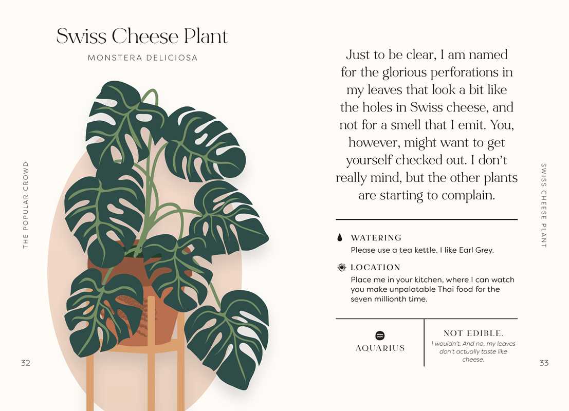 Houseplants and Their Fucked-Up Thoughts by Carlyle Christoff — alternate product view 8