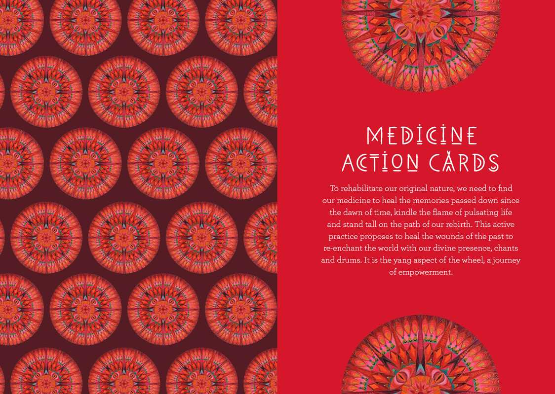 Medicine Woman Oracle by Catherine Maillard — alternate product view 6