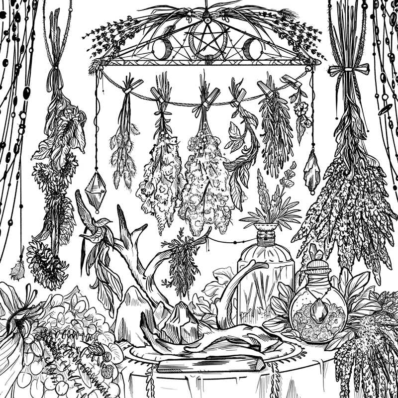 Green Witch's Coloring Book by Arin Murphy-Hiscock — alternate product view 5