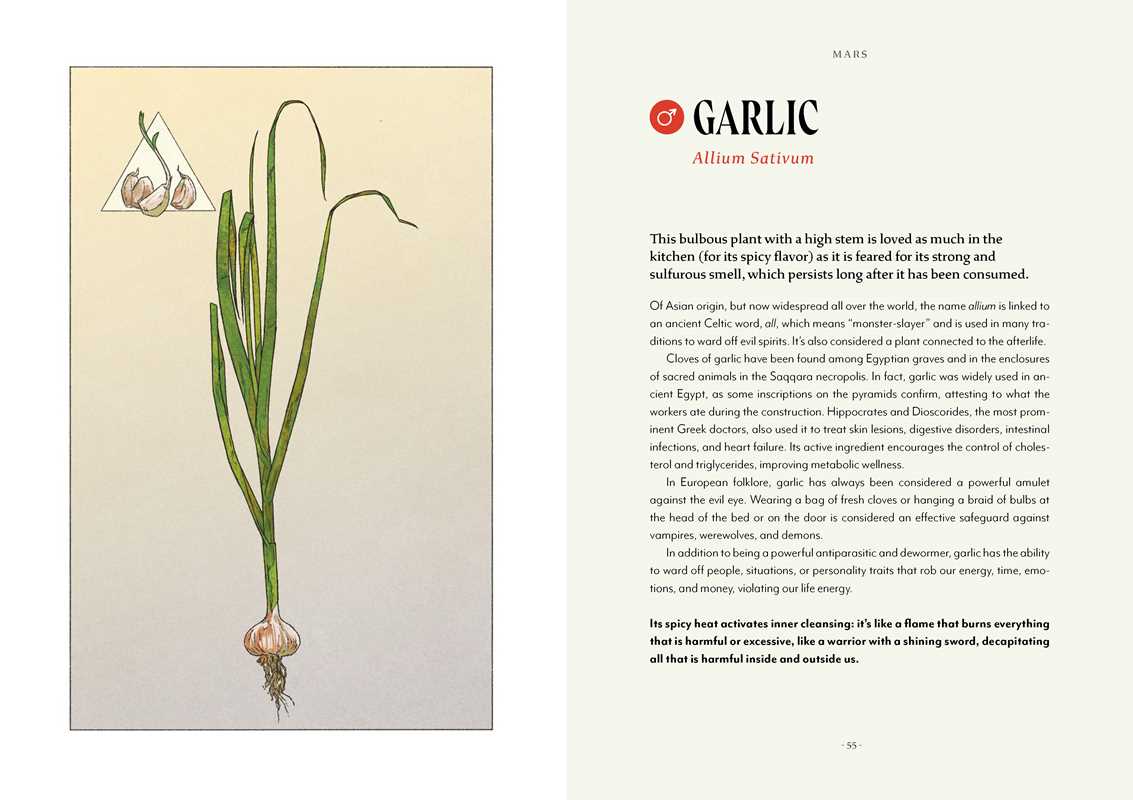 Plant Magic by Anastasia Mostacci interior book view
