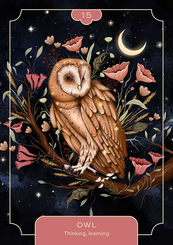 Animal Spirit Oracle by Lea Androic — alternate product view 9