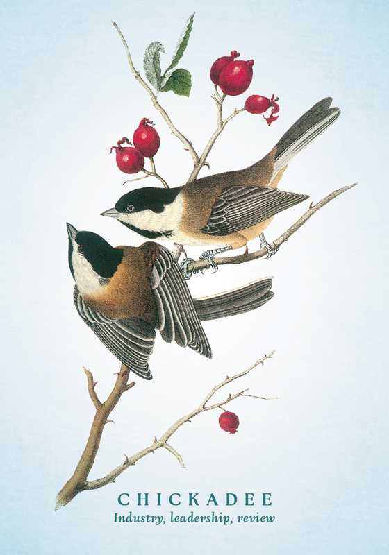 The Spiritual Meaning of Birds Oracle Deck card view