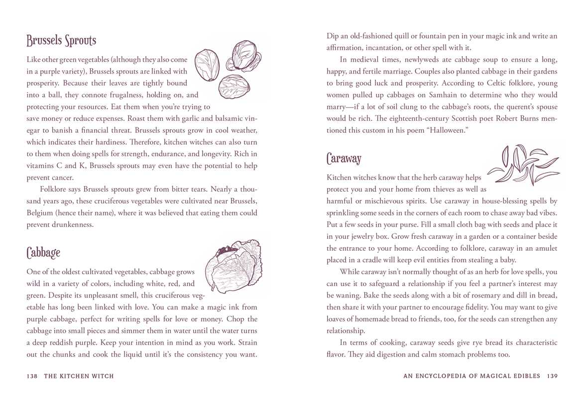 Kitchen Witch by Skye Alexander interior book view