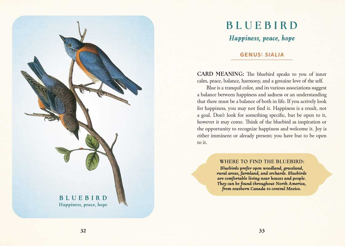 The Spiritual Meaning of Birds Oracle Deck card view