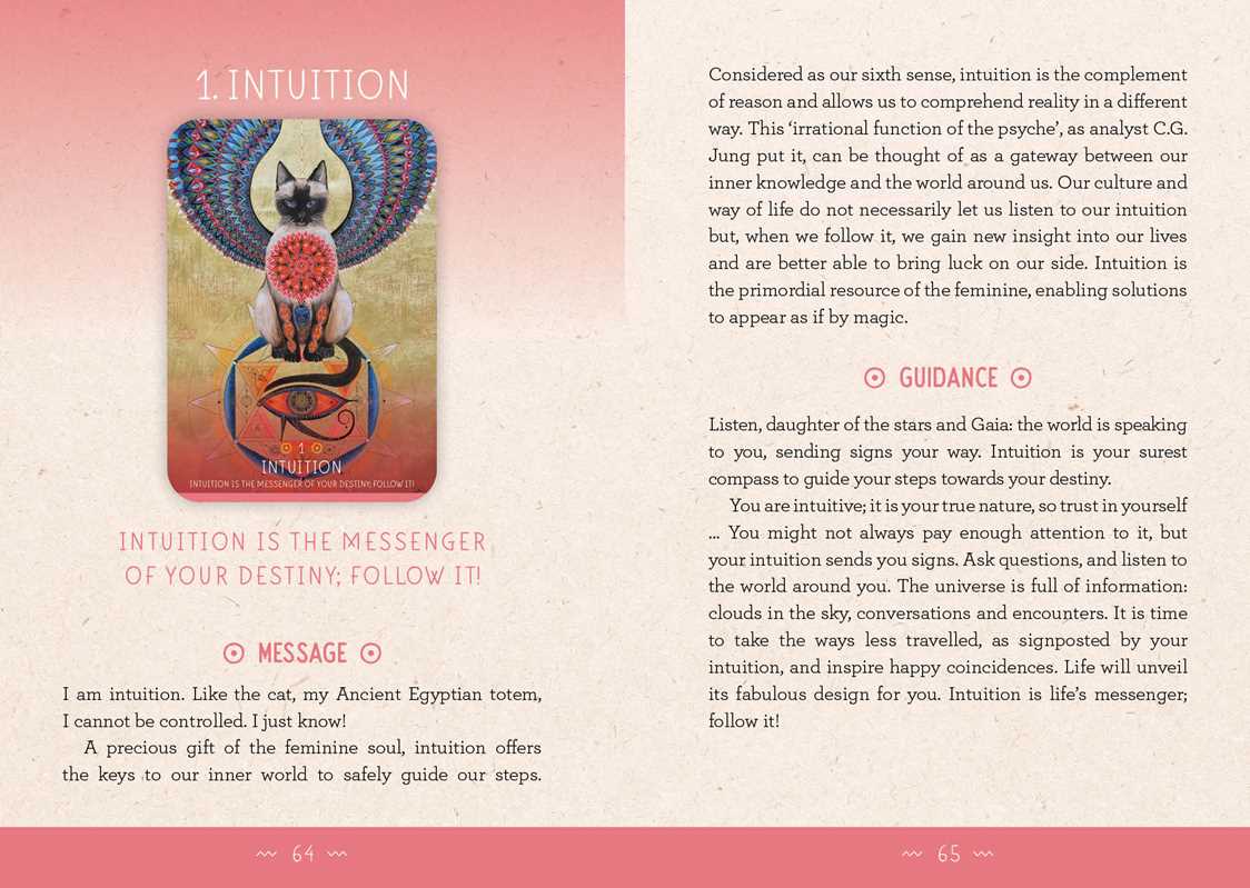 Medicine Woman Oracle by Catherine Maillard — alternate product view 4