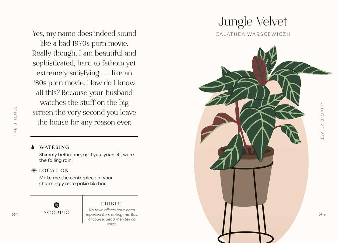 Houseplants and Their Fucked-Up Thoughts by Carlyle Christoff — alternate product view 10
