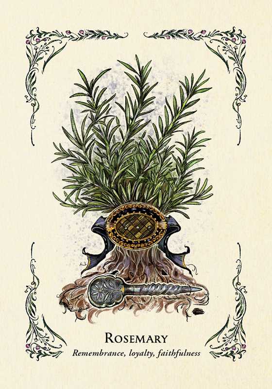 Green Witch's Oracle Deck by Arin Murphy-Hiscock — alternate product view 9