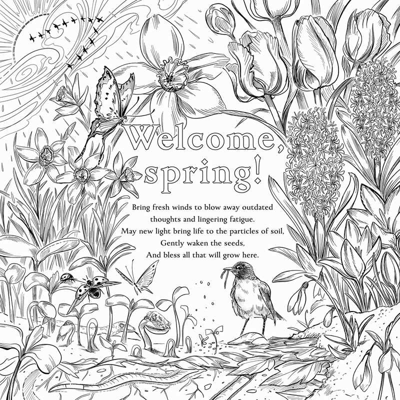 Green Witch's Coloring Book by Arin Murphy-Hiscock — alternate product view 3