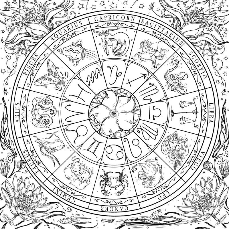 Green Witch's Coloring Book by Arin Murphy-Hiscock — alternate product view 4