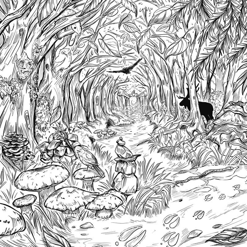 Green Witch's Coloring Book by Arin Murphy-Hiscock — alternate product view 6