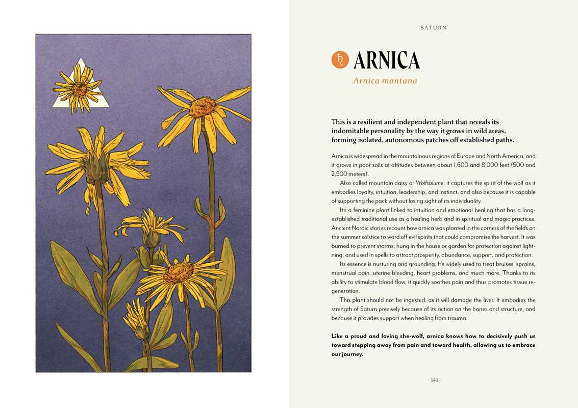 Plant Magic by Anastasia Mostacci product detail