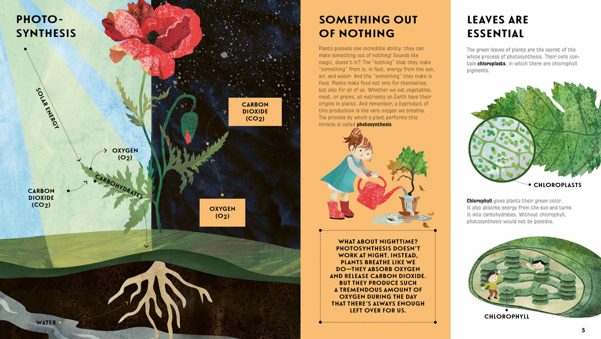 The Language of Plants: How Plants Communicate
