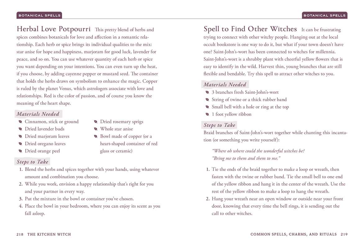 Kitchen Witch by Skye Alexander book detail
