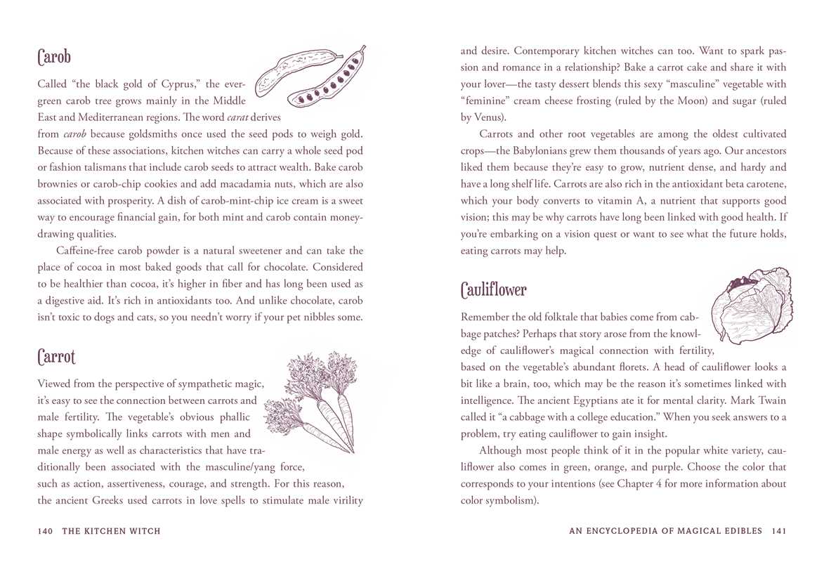 Kitchen Witch by Skye Alexander interior book view