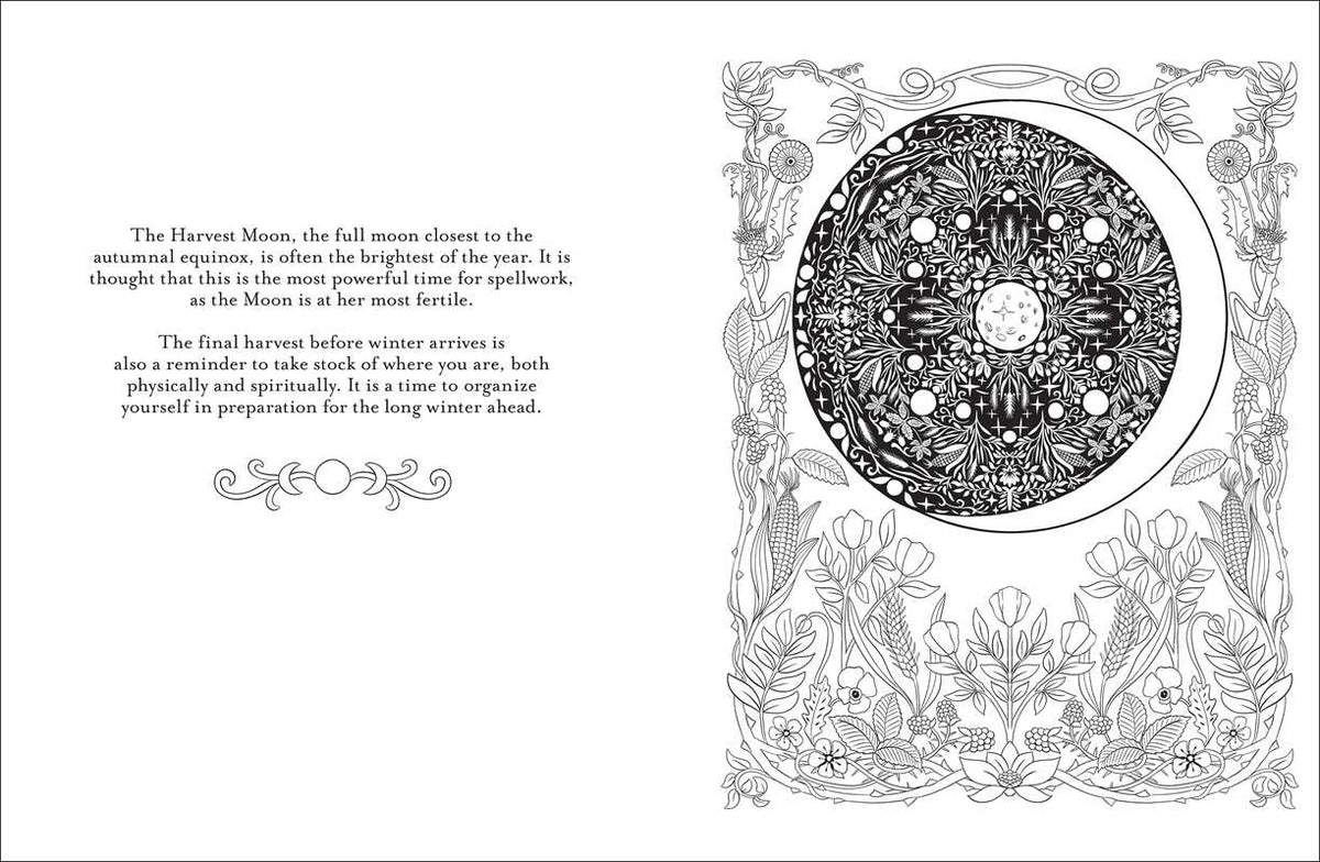 Believe in Magic by — alternate product view 3