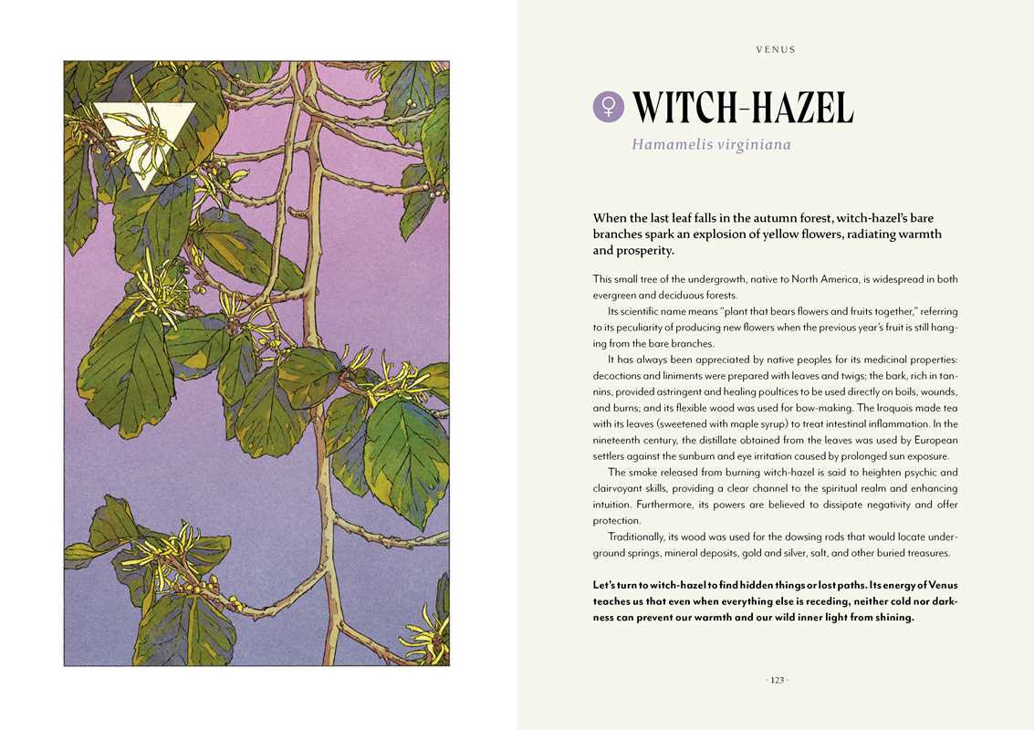 Plant Magic by Anastasia Mostacci book detail