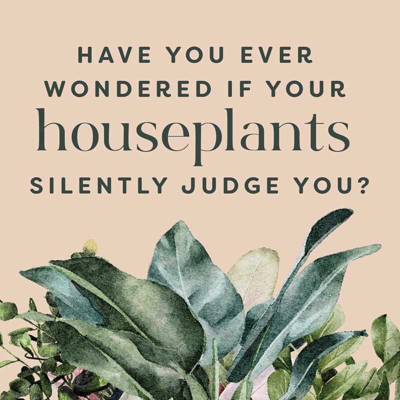 Houseplants and Their Fucked-Up Thoughts by Carlyle Christoff — alternate product view 2