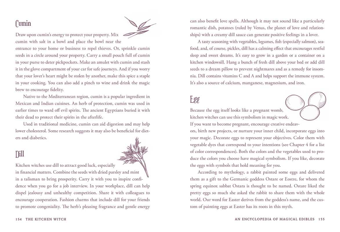 Kitchen Witch by Skye Alexander interior book view