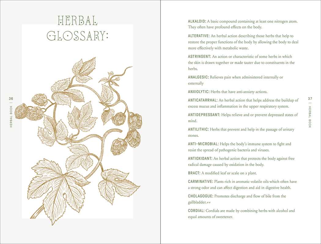 Herbal glossary and botanical illustration from The Complete Folk Herbal