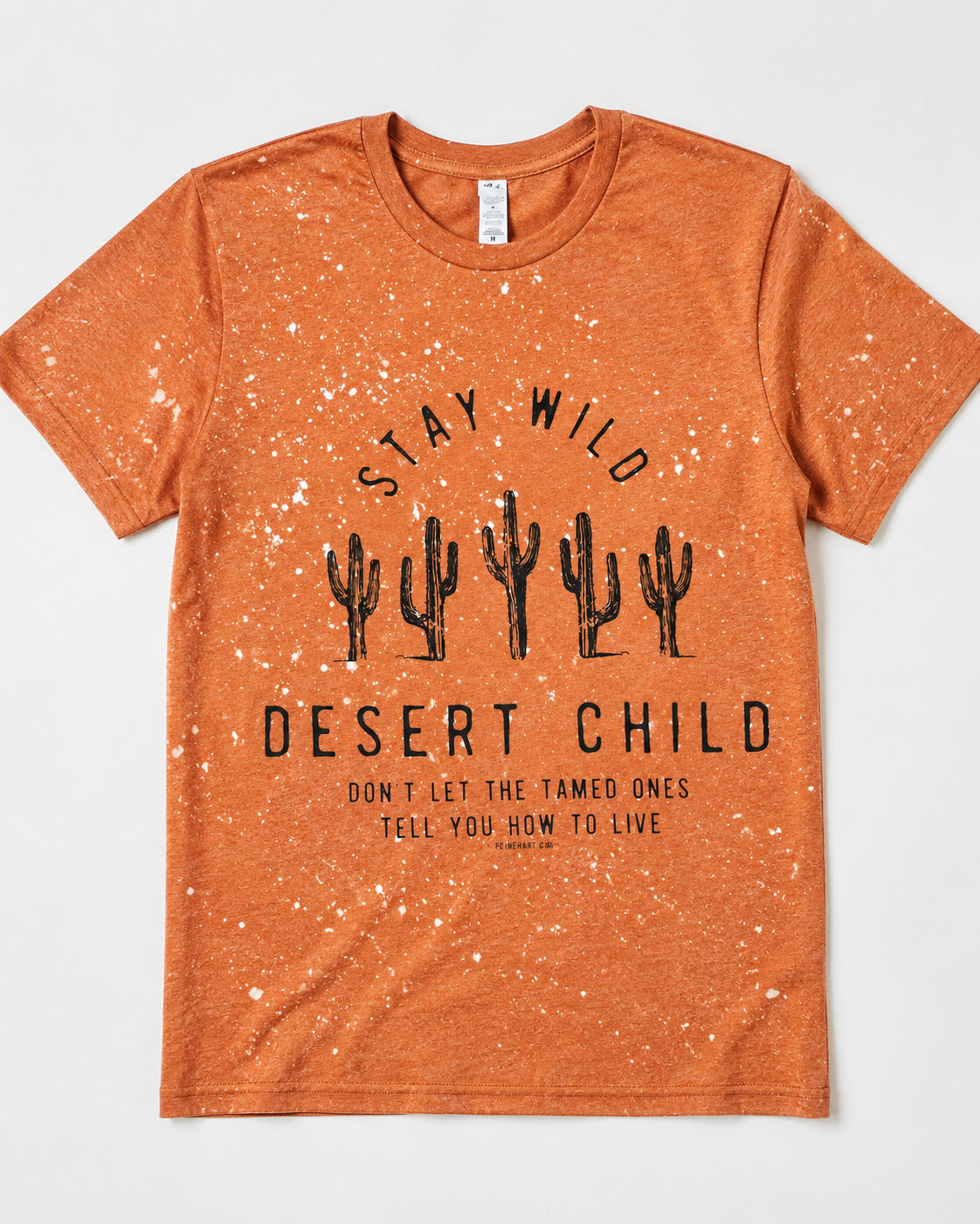 Stay Wild Desert Child Western Bleached Graphic Tee, view 2 | Fitkitty Culture®